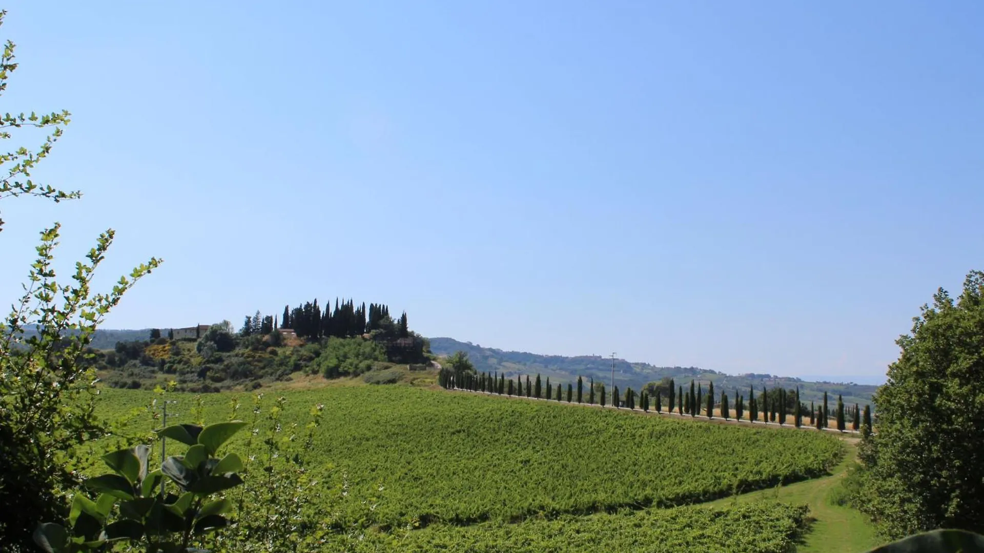Villa Vineyard View By Interhome San Gimignano 0*,